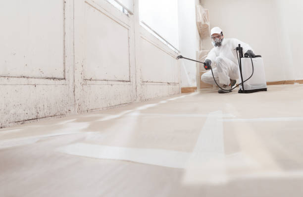 24/7 Emergency Mold Remediation experts in Lewisburg, PA